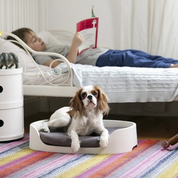 Лежак-трансформер для тварин Pet Bunkbed 3 в 1