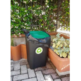 Сміттєвий пластиковий бак з зеленью відкидною кришкою Stefanplast Ecogreen 50L (70651)